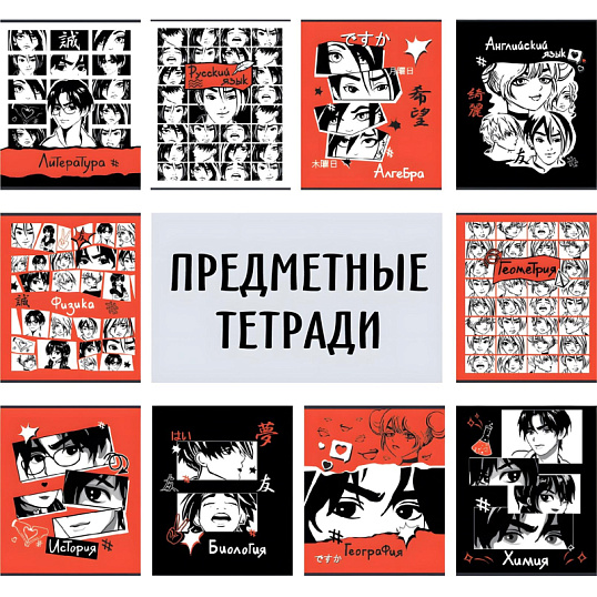 Тетрадь предметная набор Комус Класс Аниме 48л А5 офсет 65г/м2 10 предметов