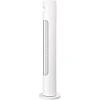 Вентилятор ROYAL Clima RBF-801E-WT,колонный