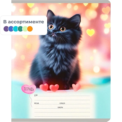 Тетрадь КЛЕТКА 12л. МИЛЫЕ КОТЯТА - 7  цвет. мелов.обл., асоорти 12-0912