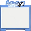 Стикеры с клеевым краем M&G Animal Planet, 76x101мм, 40 л, цвет в ассорт