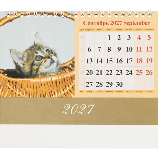 Календарь-домик настольный 2027 Котята 1спир 200х140  0927007
