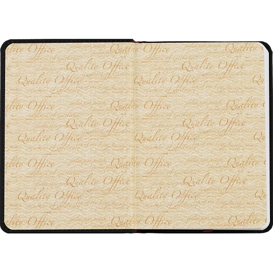 Ежедневник недатированный А6+ 112 х 155 мм Velvet черный 272 стр. 3-495/04