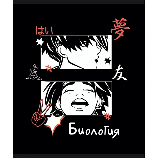 Тетрадь предметная набор Комус Класс Аниме 48л А5 офсет 65г/м2 10 предметов