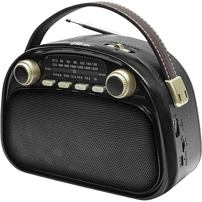 Радиоприемник Ritmix RPR-040 Black