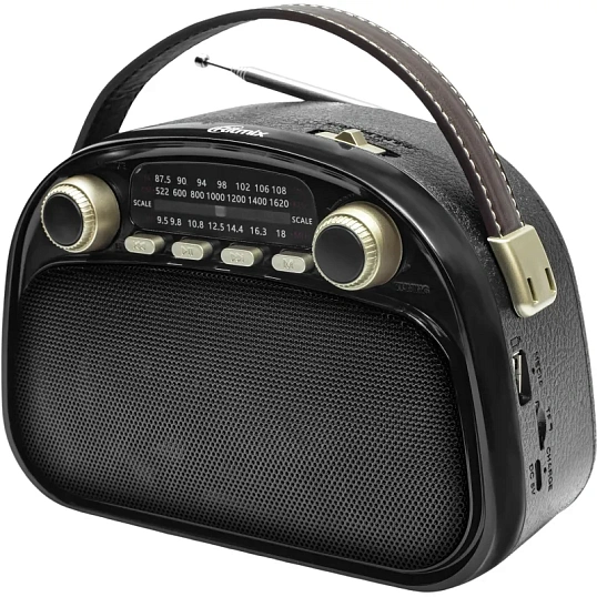 Радиоприемник Ritmix RPR-040 Black