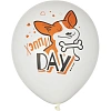 Набор шаров WHITE&ORANGE Корги СДР 5шт/уп в ассортимен M 12/30см 6073138