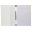 Бизнес-тетрадь 140л,кл,А4,SPIRAL BOOK Салатовый,евросп,обл.пл,раздел.84102