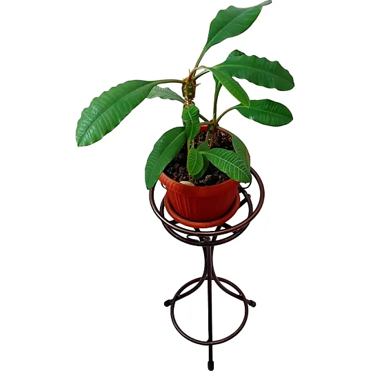 Подставка для цветов на 1 горшок Танго, ХТ 8049/1