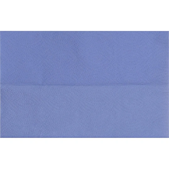 Бумага протирочная лист Luscan Professional Optima 2сл Zсл 200л/уп голубая