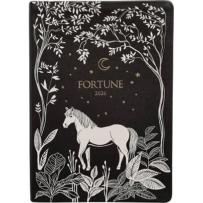 Ежедневник датированный 2026 IF 14х20см 176л, интегр Fortune I1723/black