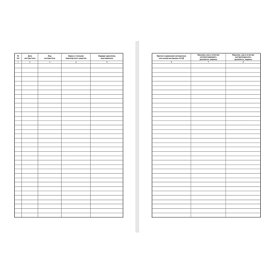 Журнал регистр.инстр-жей по БДД(вводн,предрейс,периодич,сезон,спец) ТС031-Э