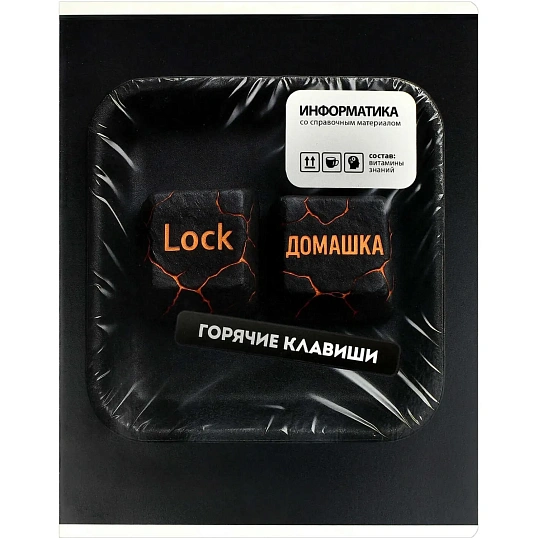 Тетрадь предметнaя ИНФОРМАТИКА ФРАЗЫ С ХАРАКТЕРОМ48л,А5+,кл,справ/73067
