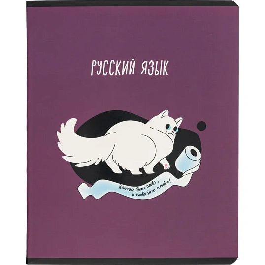 Тетрадь предметная набор Комус Класс  Котики 12 шт., 48., А5